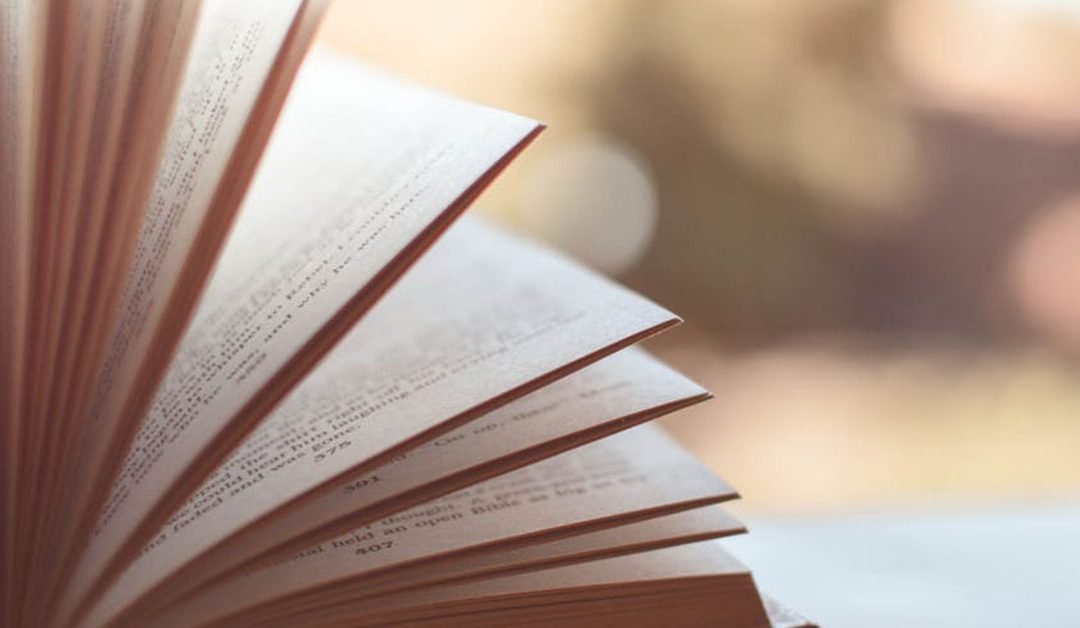 The Big Story: To Understand Our Work We First Have to Understand This