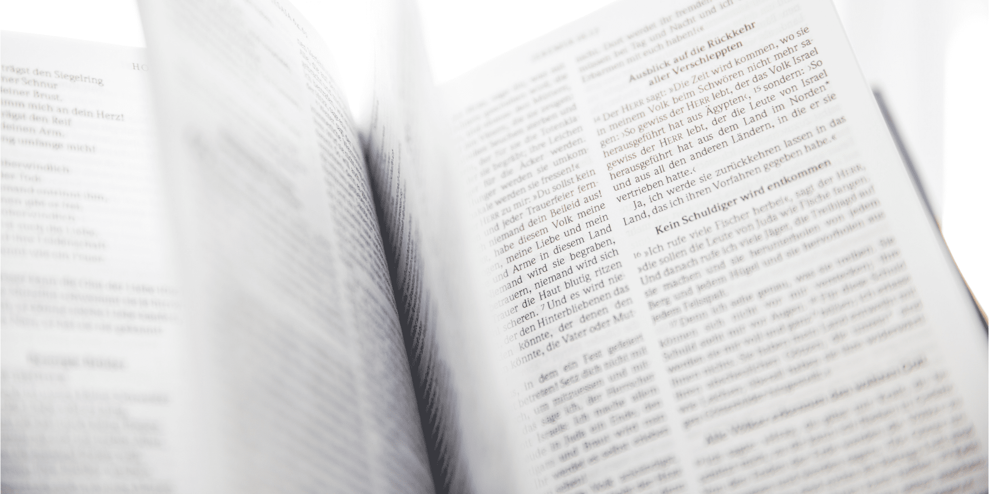 english_school_story_blog