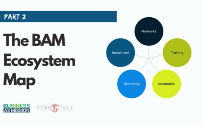Creating the Map: Exploring Categories in the BAM Ecosystem 
